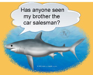 ../Images/shark car salesman brother L.jpg